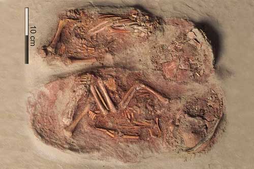 Bí ẩn ngôi mộ cổ 31.000 năm tuổi ở Áo