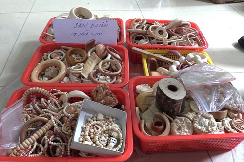 Bình Dương: Bắt giữ hàng loạt sản phẩm làm từ động vật hoang dã quý hiếm