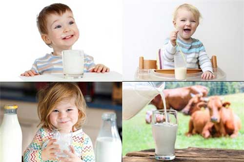 Khi nào nên cho trẻ uống sữa tươi?