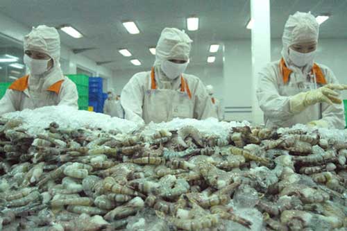 Xuất khẩu tôm sang EU tăng mạnh nhất kể từ đầu năm