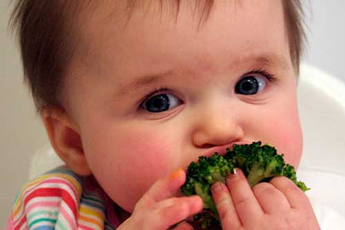 Những thực phẩm ngăn ngừa suy dinh dưỡng cho trẻ sau cai sữa mẹ