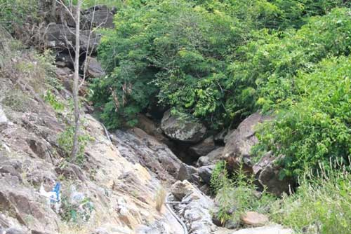 Giải mã bí ẩn rợn người về câu chuyện 'ngậm ngải' đi tìm trầm