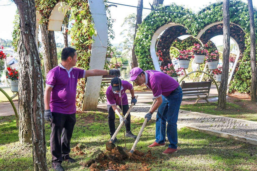 Đợt ra quân trồng cây “Gieo mầm yêu thương” lần thứ XV này, TTC Lâm Đồng trồng hơn 500 cây Mai Anh Đào.