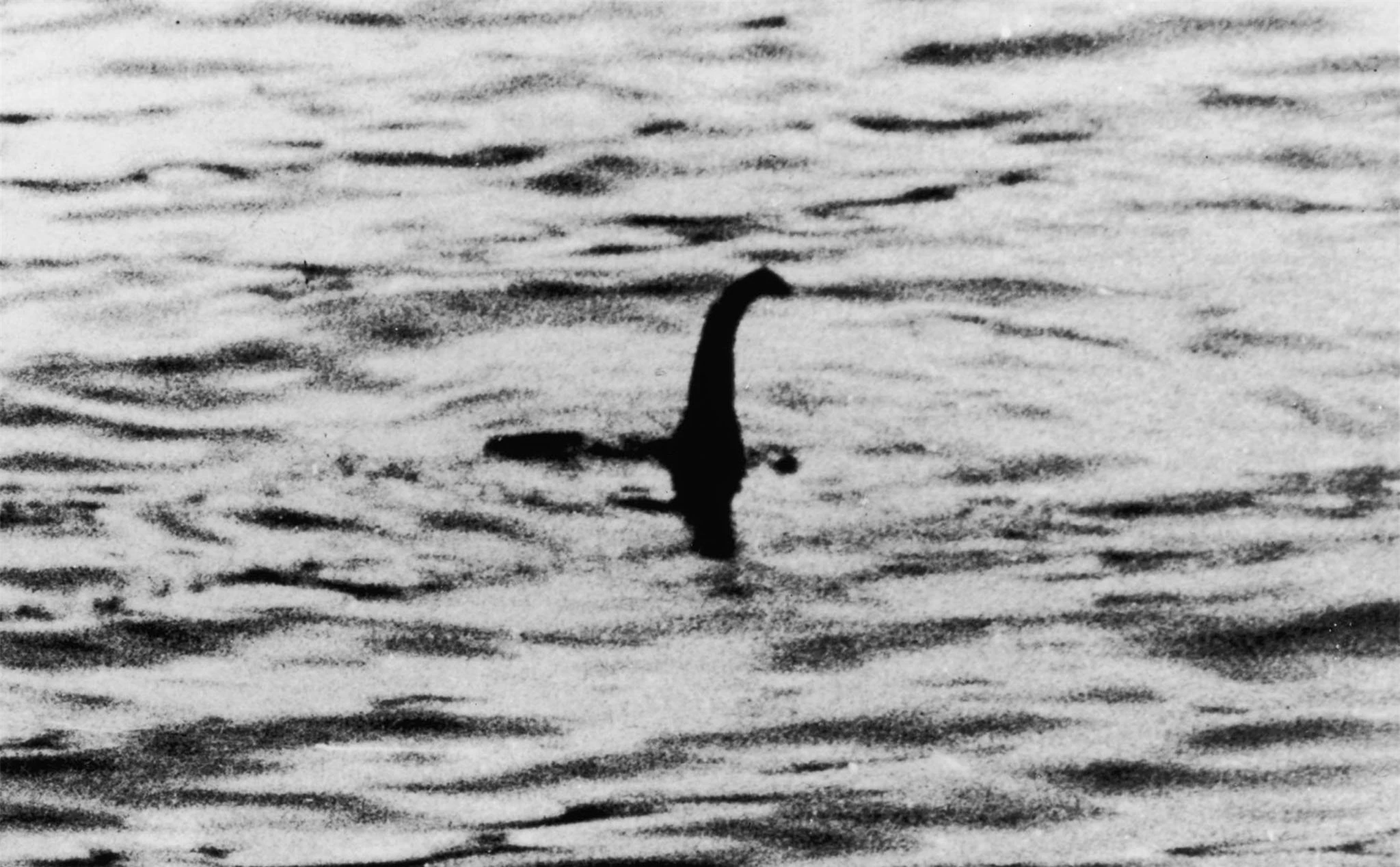 Bức ảnh nổi tiếng về quái vật hồ Loch Ness của Robert Kenneth Wilson chụp năm 1934. Ảnh: Wikimedia.
