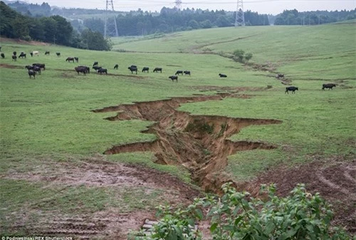 Rùng mình với cảnh hoang tàn như ngày tận thế ở Fukushima - 13