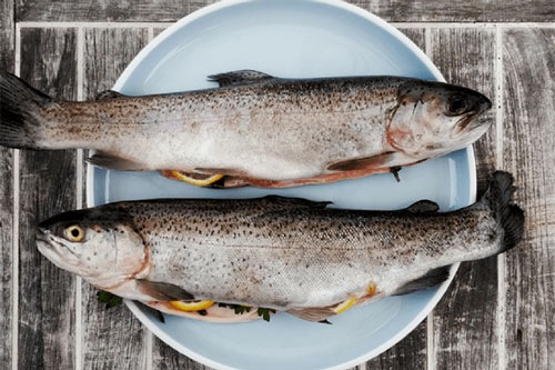 11 loại thực phẩm dành cho người thiếu vitamin A