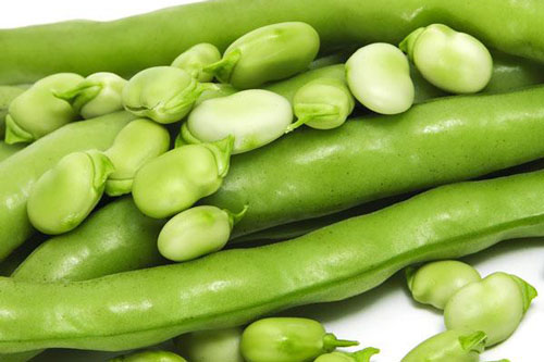 Lợi ích sức khoẻ từ đậu xanh ít người biết đến