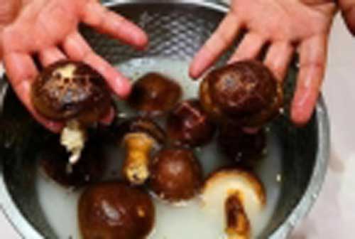 Rửa nấm đừng chỉ dùng nước lạnh, phải thêm thứ này mới hết sạch bụi bẩn, ký sinh trùng