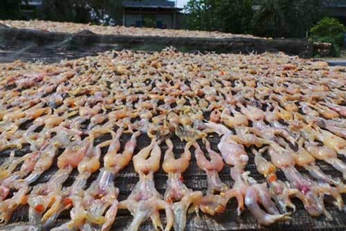 Kì lạ món "vũ nữ chân dài" của người miền Tây
