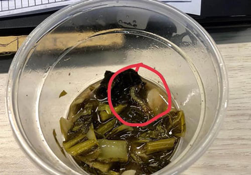 Ăn gần hết suất cơm rang dưa bò, cô gái hốt hoảng nhìn thấy con rết bên trong đồ ăn