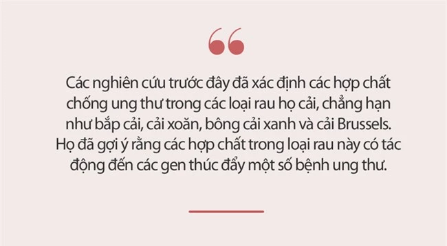 &quot;Kẻ thù&quot; của ung thư chính là họ nhà rau này, ăn mỗi ngày để nuôi dưỡng dạ dày, lá lách, thúc đẩy trao đổi chất và đánh bay tế bào ung thư - Ảnh 3.