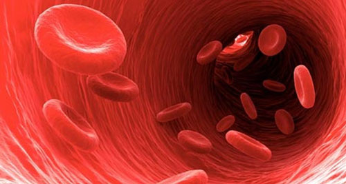 Những điều rùng rợn ít ai biết về máu