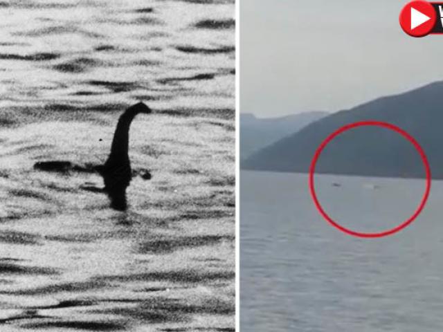 Bằng chứng video mới về quái vật hồ Loch Ness