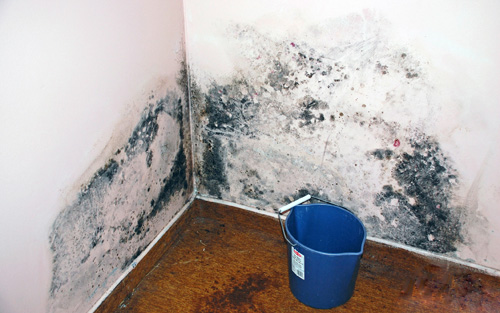 Đi tìm nguyên nhân gây bệnh nấm phổi dù không hút thuốc lá, không uống rượu