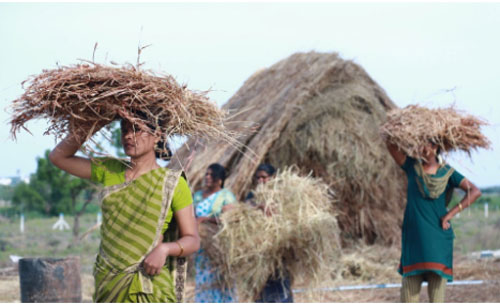 Bên trong thị trấn dành riêng cho phụ nữ chuyển giới ở Ấn Độ