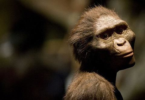 Phát hiện mới về người tiền sử