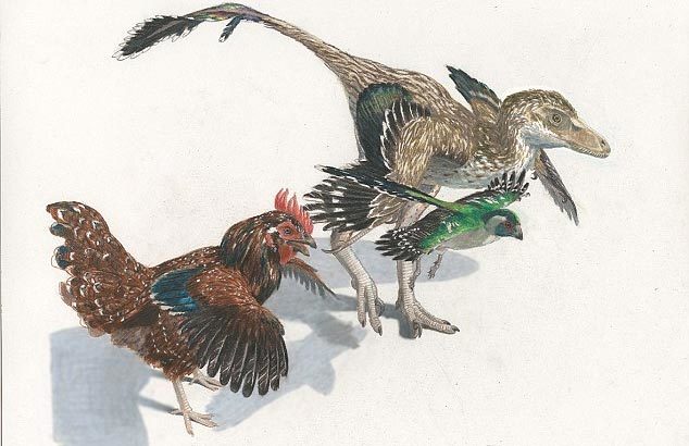 Quá trình tiến hóa có thể... đi giật lùi?