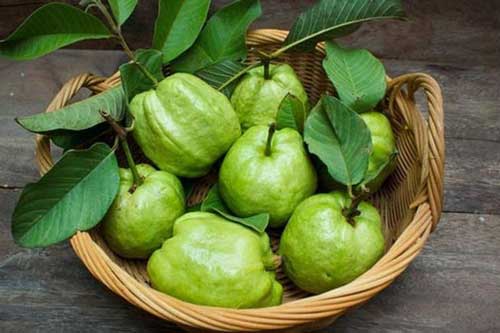 4 loại trái cây rẻ tiền, nhiều dinh dưỡng, tốt cho máu, làm đẹp da lại giảm béo cực tốt