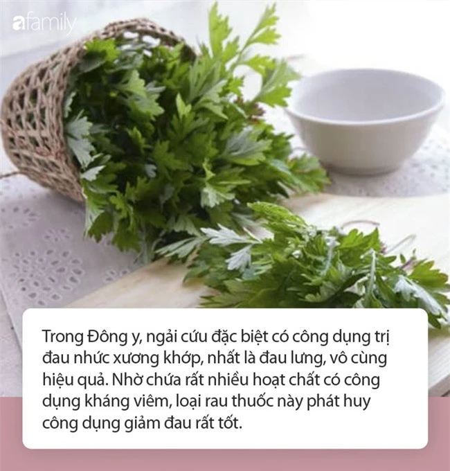 Hơ nóng rồi áp lá ngải cứu vào lưng, cơn đau sẽ nhanh chóng biến mất nhưng lời chuyên gia nói mới là điều bạn cần lưu ý - Ảnh 3.