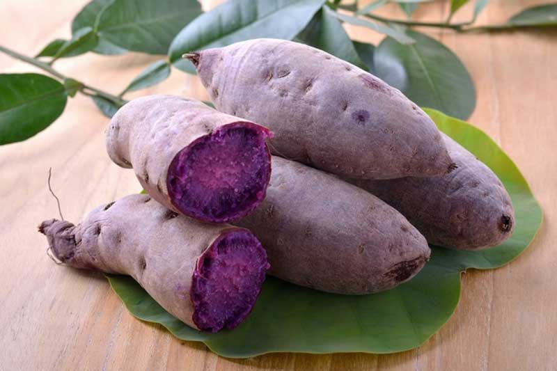 Cụ bà 114 tuổi chia sẻ bí quyết sống thọ, sống khỏe nhờ ăn khoai lang theo cách này