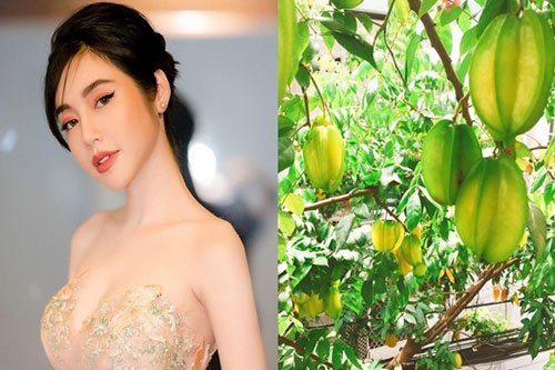 Elly Trần mê vườn tược