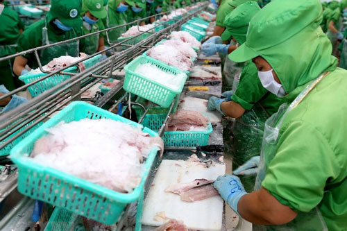 VASEP: Doanh nghiệp xuất khẩu cá tra nên bình tĩnh, không hạ giá