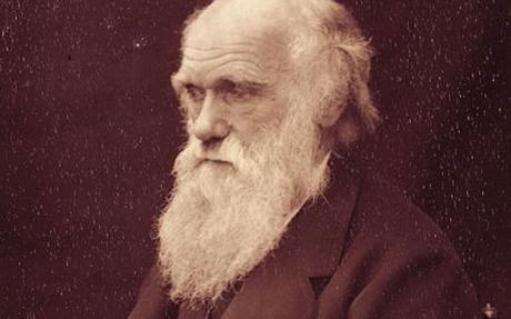 Hé lộ bí ẩn về cái chết của Charles Darwin
