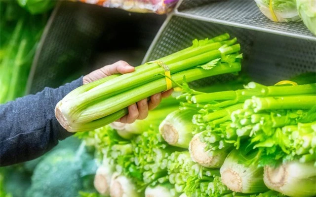 hand-holding-a-bunch-of-celery-1562299217199290842817-crop-15622992242251782064668