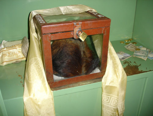 Tìm thấy bàn tay và da đầu của Người tuyết