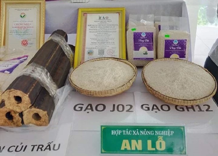 Gạo hữu cơ An Lỗ của Hợp tác xã sản xuất, kinh doanh, dịch vụ nông nghiệp An Lỗ, được tỉnh Thừa Thiên Huế công nhận là sản phẩm OCOP hạng 4 sao.