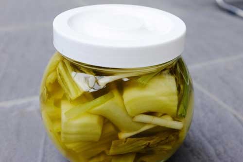 Muối dưa trong bình nhựa dễ mang họa vào thân