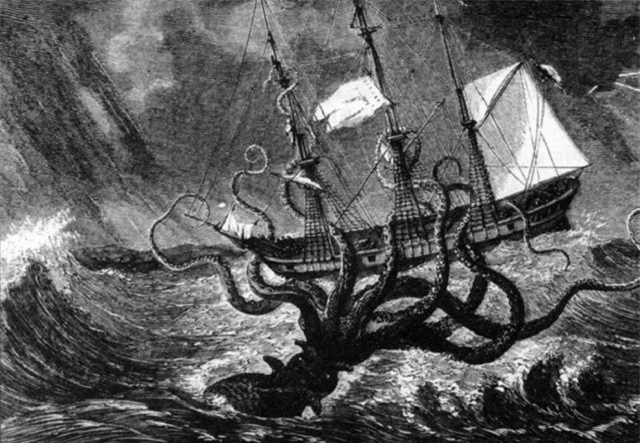 Mực khổng lồ nước sâu, hiện thân của quái thú Kraken - ảnh 2