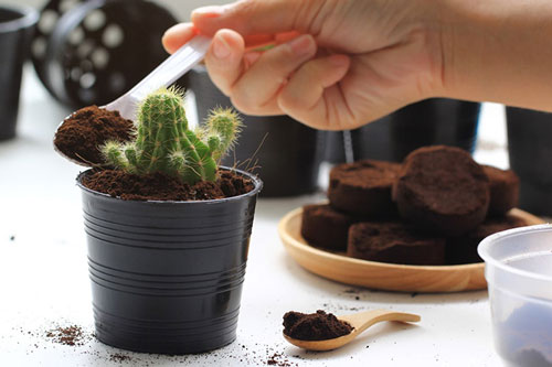 5 công dụng tuyệt vời của bã cà phê có thể bạn chưa biết