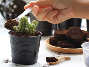 5 công dụng tuyệt vời của bã cà phê có thể bạn chưa biết