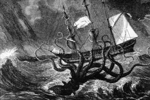 Mực khổng lồ nước sâu, hiện thân của quái thú Kraken