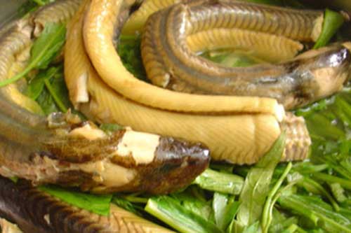 Sai lầm khi ăn lươn có thể khiến bạn bị ngộ độc