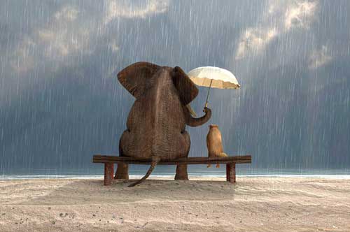 "Gần mực thì đen, gần đèn thì rạng": Kẻ khôn ngoan sẽ không bao giờ kết thân với 3 kiểu người này