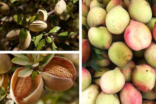 Mách bạn 16 thực phẩm giúp phụ nữ có dáng đẹp, da xinh