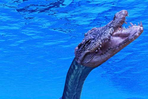 Bí mật về quái vật giống quái vật hồ Loch Ness