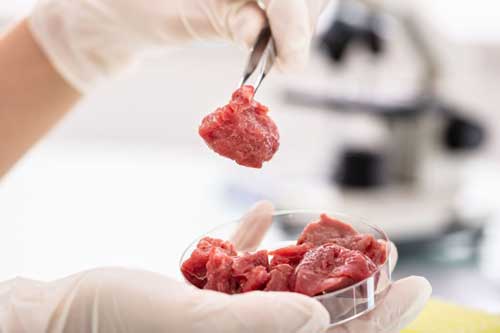 Singapore chính thức cấp phép bán 'thịt nuôi cấy’ trong phòng thí nghiệm