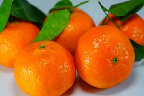 Cách chọn quýt đường ngọt, thơm đúng chuẩn không phải ai cũng biết