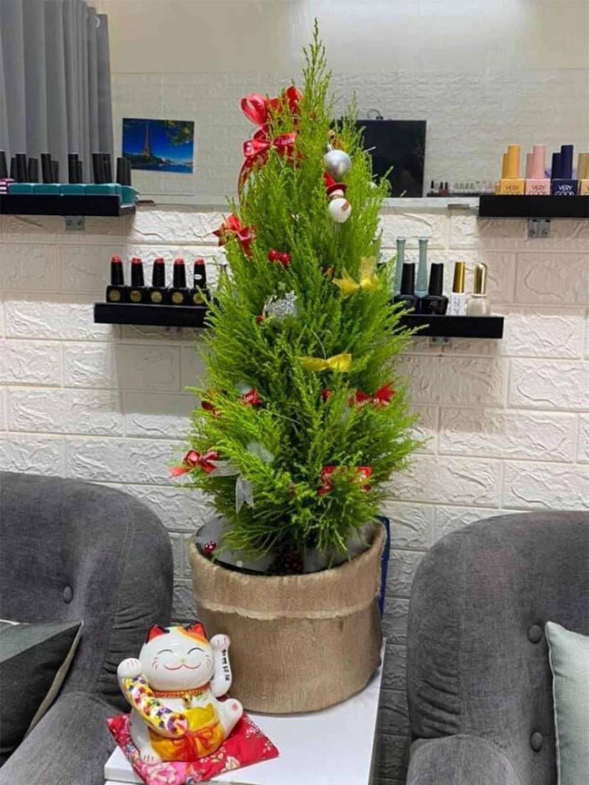 Bên cạnh cây thông tươi, năm nay, nhiều khách hàng chuyển sang dùng tùng thơm để trang trí Giáng sinh với giá "mềm" hơn rất nhiều. (Ảnh: VTC News)