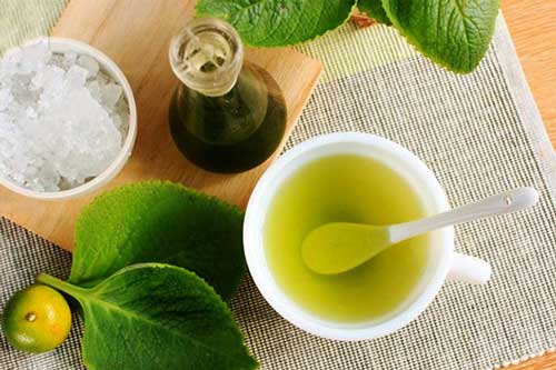 Trị ho dứt điểm cho con bằng bài thuốc từ lá húng chanh