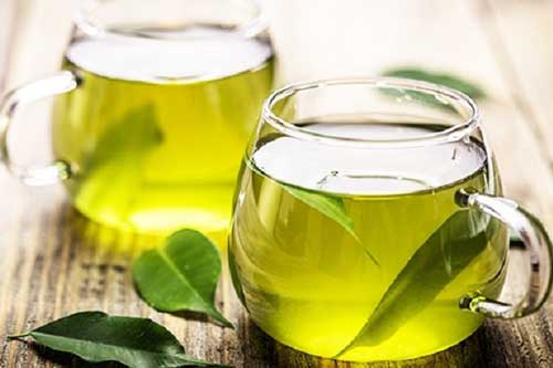 Không chỉ giải khát, nước lá vối đẩy lùi bệnh Gout, tiểu đường và nhiều tác dụng