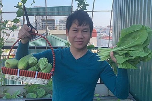 Trọng Tấn thu hoạch rau sạch nhà trồng