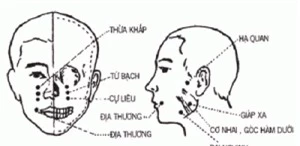 Điểm vàng trong bấm huyệt giúp mắt sáng trong, không bệnh, không thâm quầng, chị em làm đều đặn là trẻ ra cả chục tuổi - Ảnh 1.