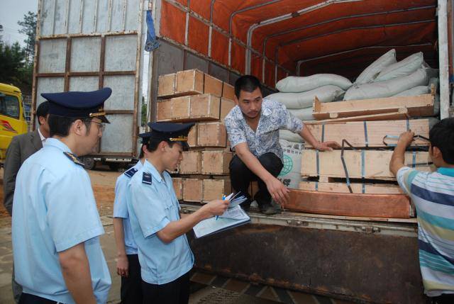 Hải quan bắt giữ 2 container găng tay y tế đã qua sử dụng