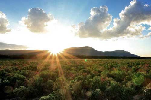 2020 là một trong 3 năm nóng kỷ lục trên Trái đất từ trước tới nay