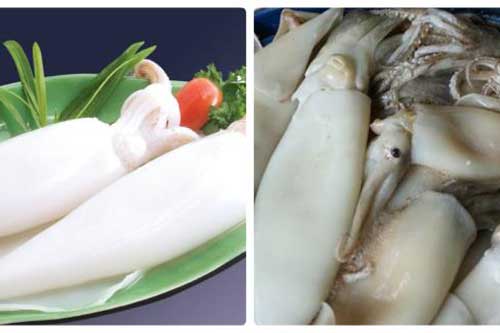 Mua mực tươi không biết mẹo này dễ mua nhầm mực bị tẩy trắng