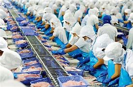 Xuất khẩu thủy sản tăng mạnh, đạt kim ngạch gần 9 tỷ USD